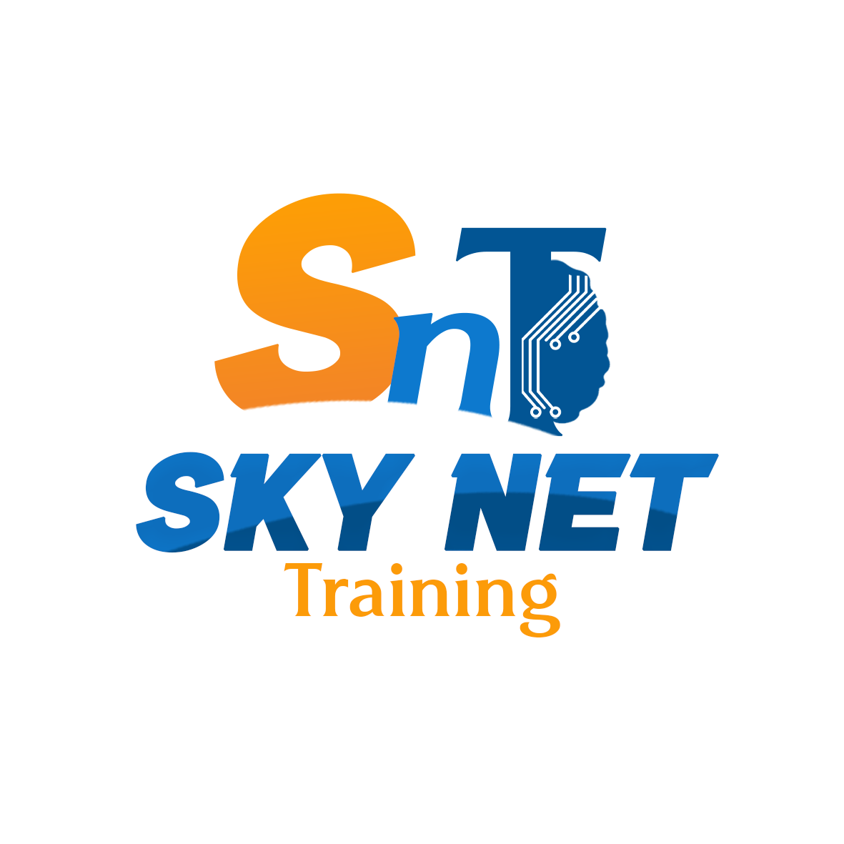 Sky Net Training