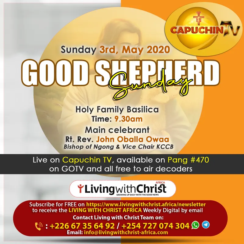 Affiche Capuchin Tv 1