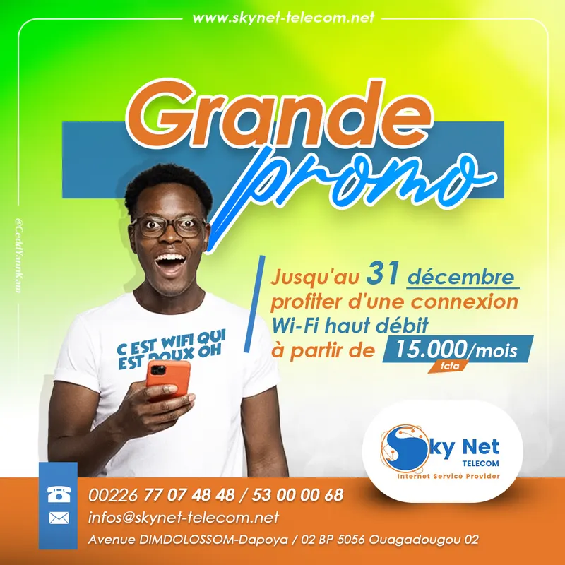 Affiche Skynet Fete 31 Decembre