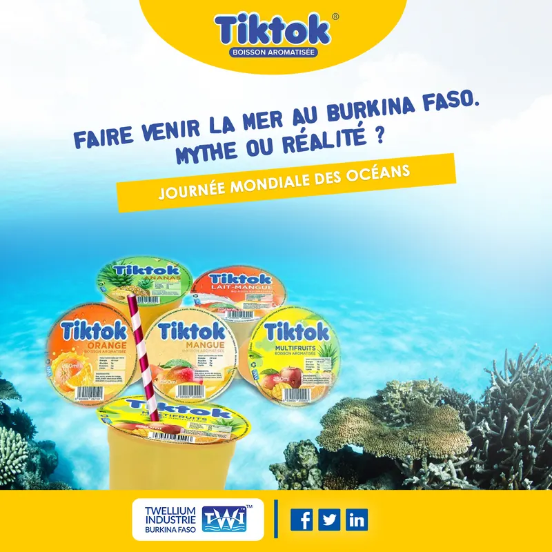 Affiche Tiktok Journee Des Oceans